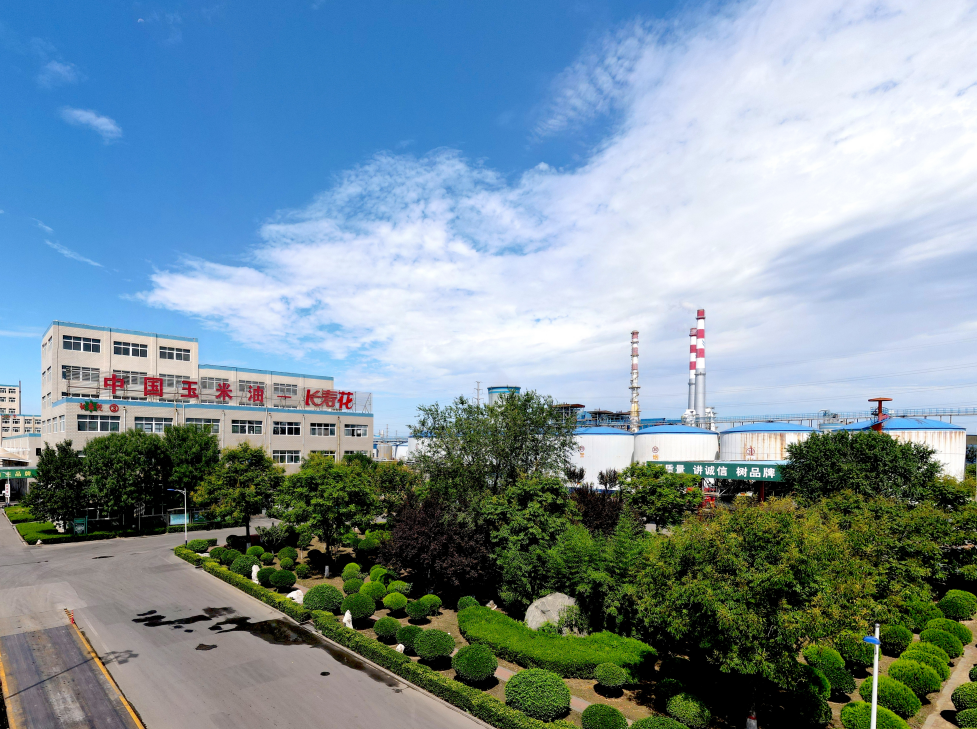 這些屬于長(zhǎng)壽花的關(guān)鍵詞標(biāo)簽，你了解嗎